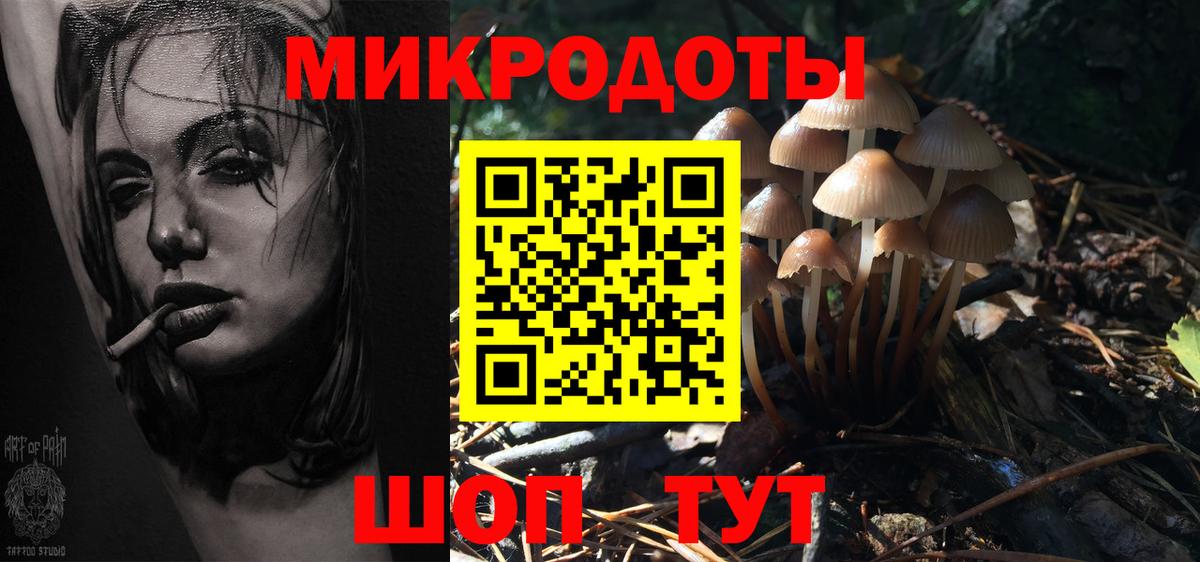Ижевск  Галлюциногенные грибы прущие грибы  Вход с VPN 